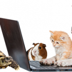 https://www.qualipet.ch/